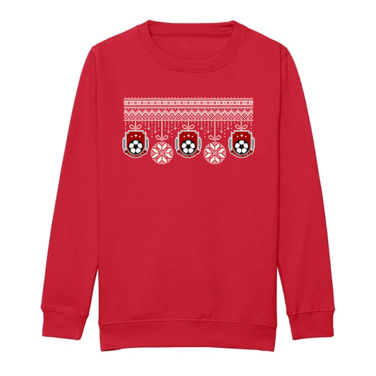 Christmas Team Jumper (Adult Unisex)